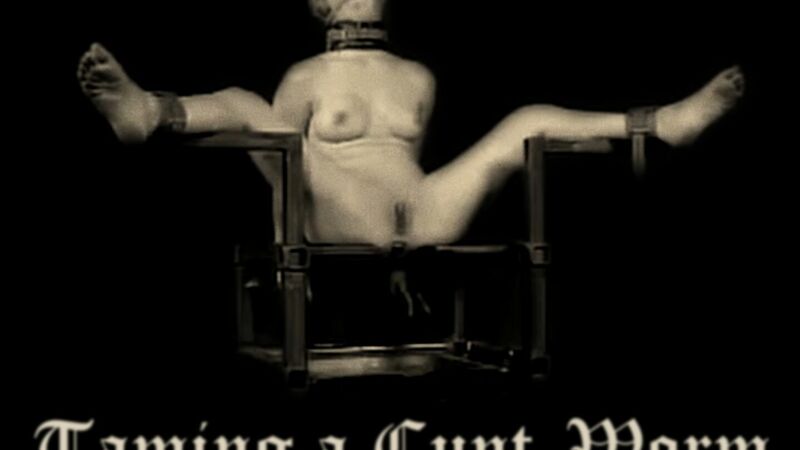 Taming a Cunt-Worm [an INSEX Fan-Edit *REDUX*]
